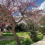 La Specchia - Dimore In Natura Διαμέρισμα Cisternino