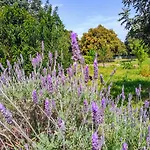 Διαμέρισμα La Specchia - Dimore In Natura *