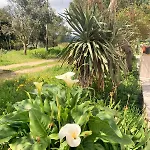 Διαμέρισμα La Specchia - Dimore In Natura