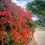La Specchia - Dimore In Natura Διαμέρισμα Cisternino