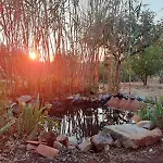 Διαμέρισμα La Specchia - Dimore In Natura Cisternino