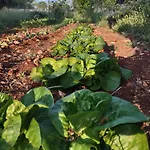 Διαμέρισμα La Specchia - Dimore In Natura