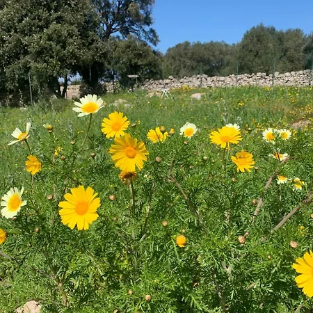 La Specchia - Dimore In Natura Apartman Cisternino