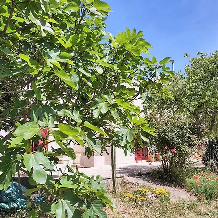 Apartman La Specchia - Dimore In Natura Cisternino