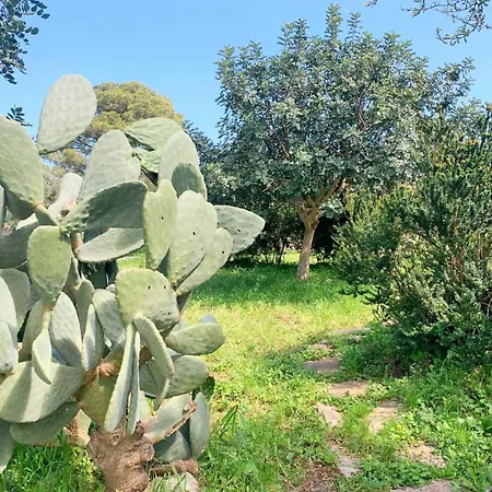 Apartman La Specchia - Dimore In Natura