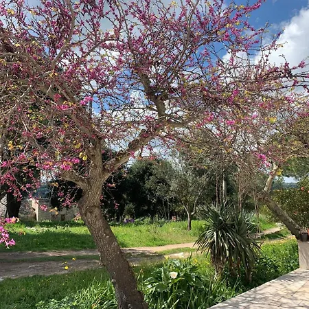 La Specchia - Dimore In Natura Apartman Cisternino