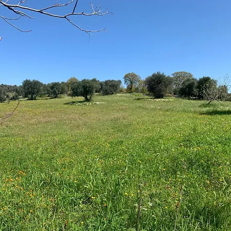 La Specchia - Dimore In Natura *