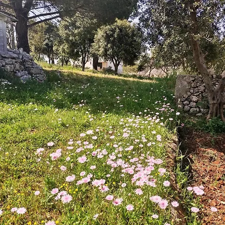 Apartman La Specchia - Dimore In Natura