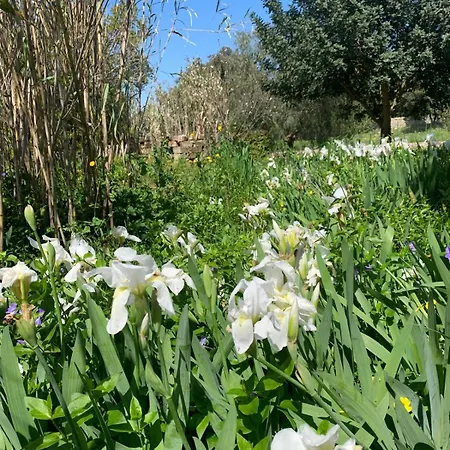 La Specchia - Dimore In Natura Daire *