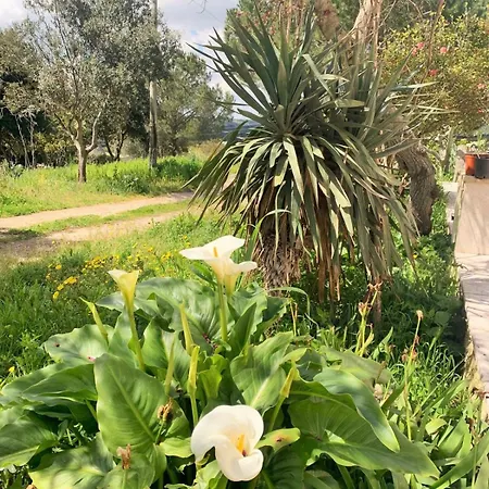 Apartman La Specchia - Dimore In Natura