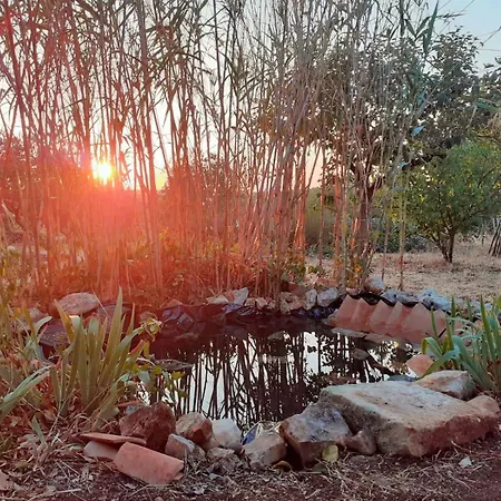 Daire La Specchia - Dimore In Natura Cisternino