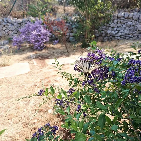 La Specchia - Dimore In Natura Cisternino
