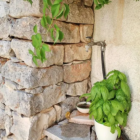 La Specchia - Dimore In Natura *