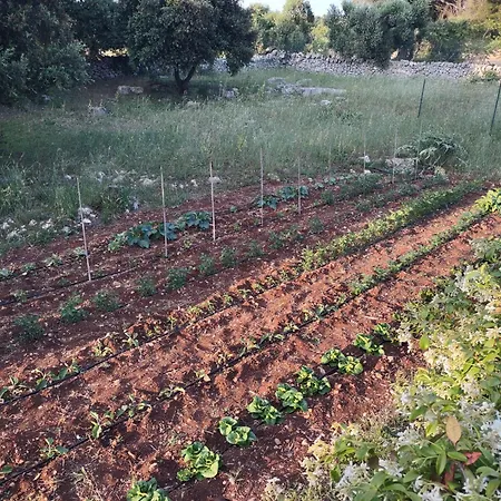 Daire La Specchia - Dimore In Natura