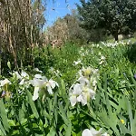 La Specchia - Dimore In Natura Lägenhet *