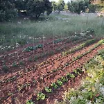 דירה La Specchia - Dimore In Natura
