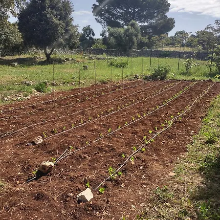 La Specchia - Dimore In Natura *