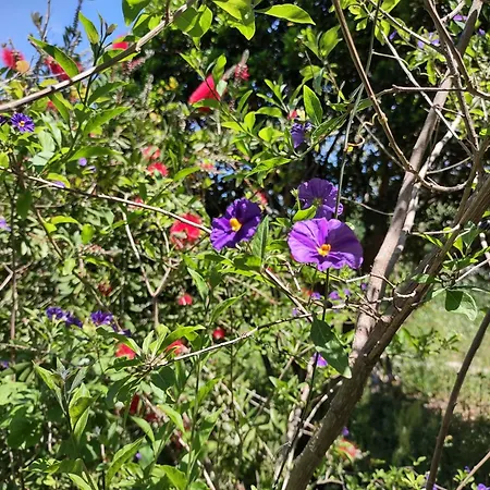 Apartment La Specchia - Dimore In Natura