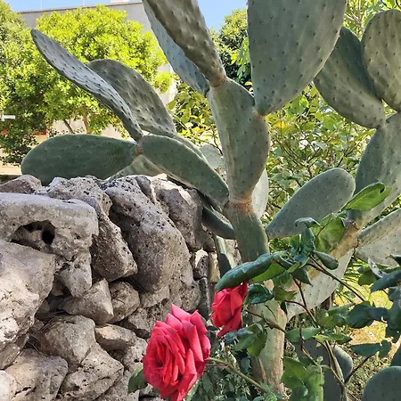La Specchia - Dimore In Natura * צ'יסטרנינו