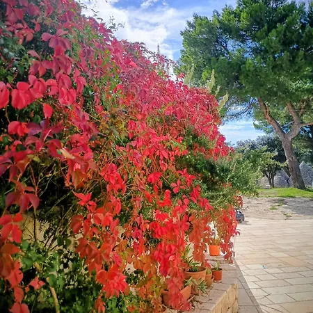La Specchia - Dimore In Natura Apartament Cisternino
