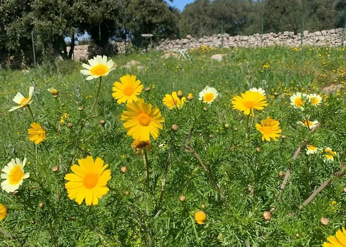 La Specchia - Dimore In Natura Appartement Cisternino
