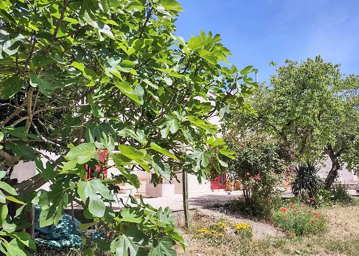 Apartment La Specchia - Dimore In Natura Cisternino