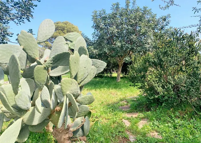 Appartement La Specchia - Dimore In Natura