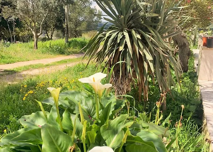 Apartment La Specchia - Dimore In Natura