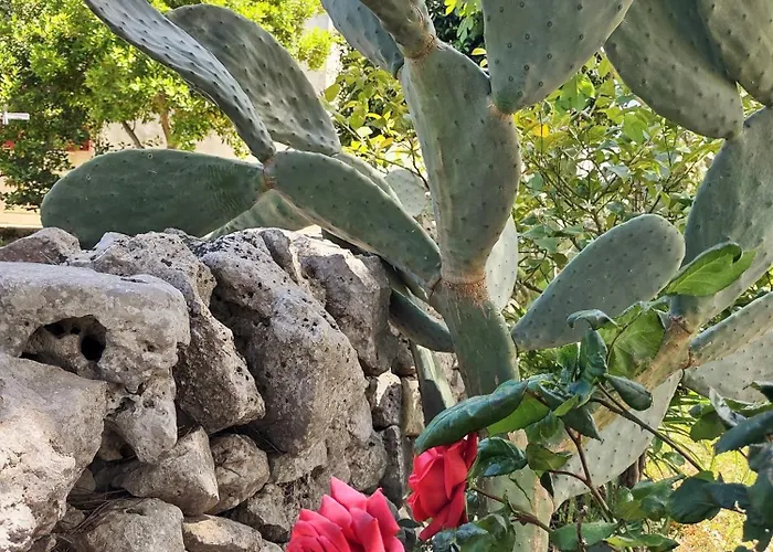 La Specchia - Dimore In Natura * Cisternino
