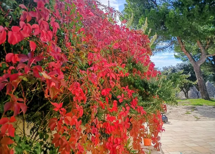 La Specchia - Dimore In Natura Appartement Cisternino